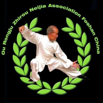 taichi logo